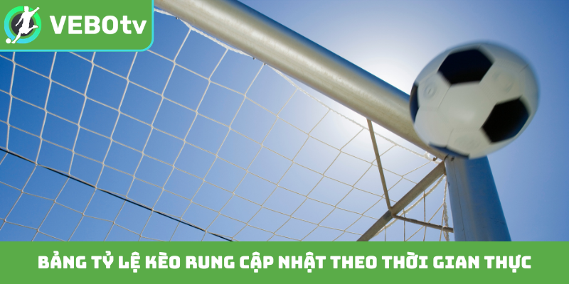 Bảng tỷ lệ kèo rung cập nhật theo thời gian thực