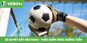 Bí quyết bắt kèo rung