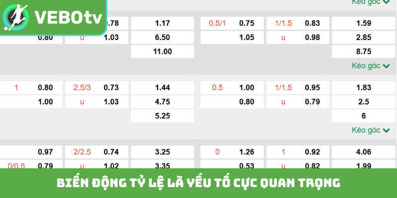 Biến động tỷ lệ là yếu tố cực quan trọng