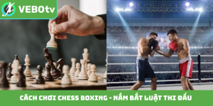 Cách chơi Chess Boxing