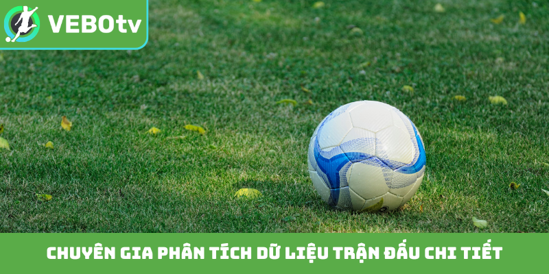 Chuyên gia phân tích dữ liệu trận đấu chi tiết