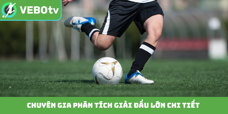 Chuyên gia phân tích giải đấu lớn chi tiết