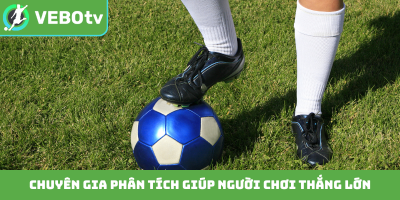 Chuyên gia phân tích giúp người chơi thắng lớn