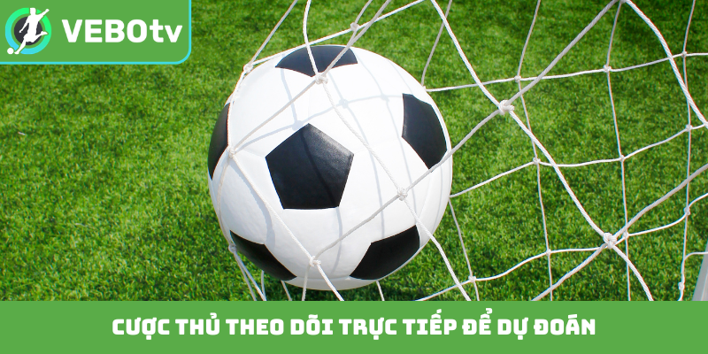 Cược thủ theo dõi trực tiếp để dự đoán