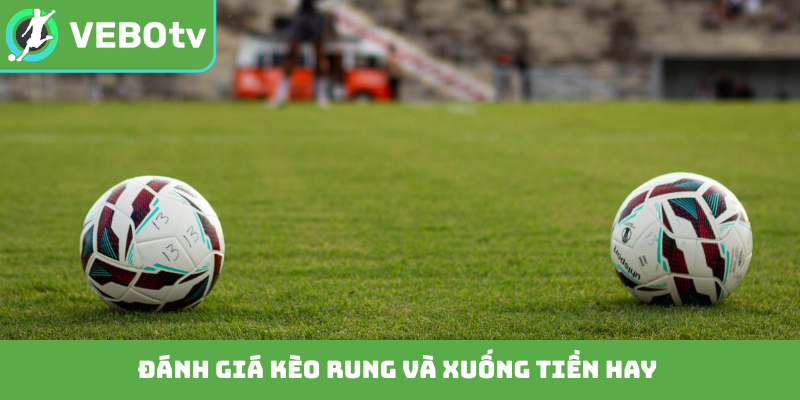 Đánh giá kèo rung và xuống tiền hay