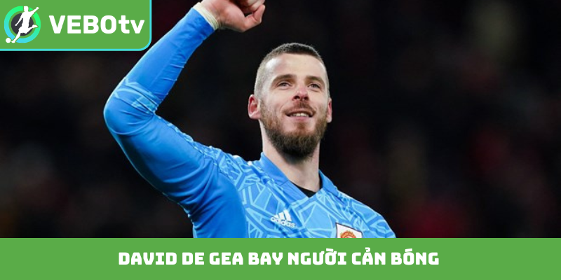 David de Gea bay người cản bóng