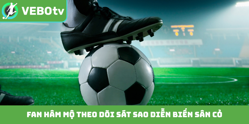 Fan hâm mộ theo dõi sát sao diễn biến sân cỏ