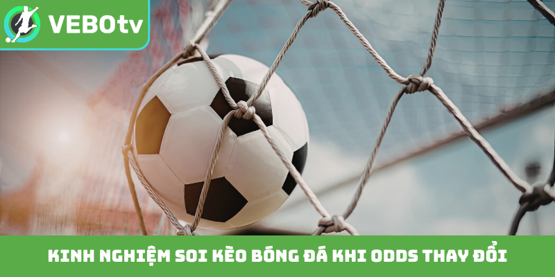 Kinh nghiệm soi kèo bóng đá khi odds thay đổi