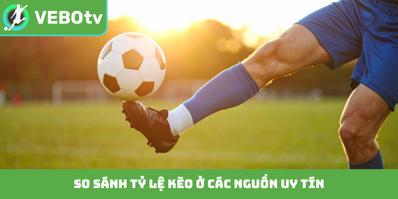 So sánh tỷ lệ kèo ở các nguồn uy tín